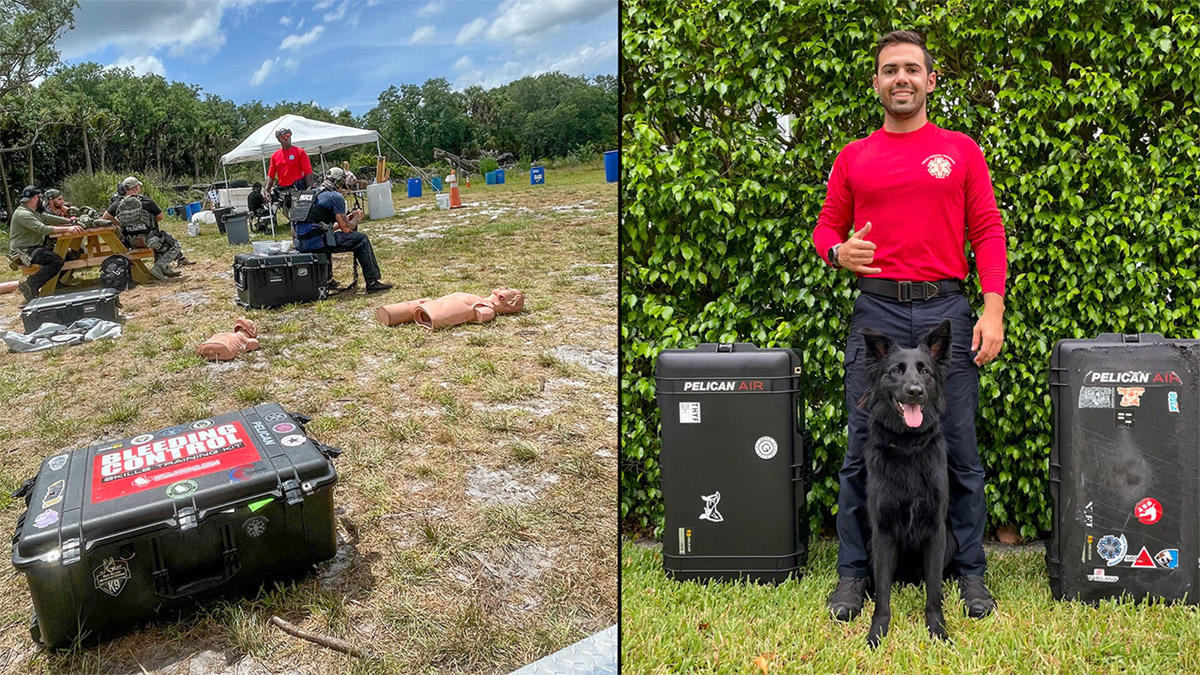 dog with cases